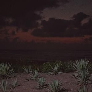 日本少妇被添全过程A片
