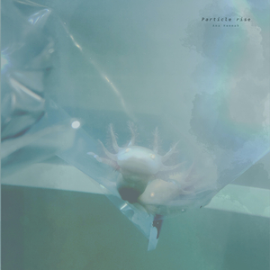 日本少妇被添全过程A片
